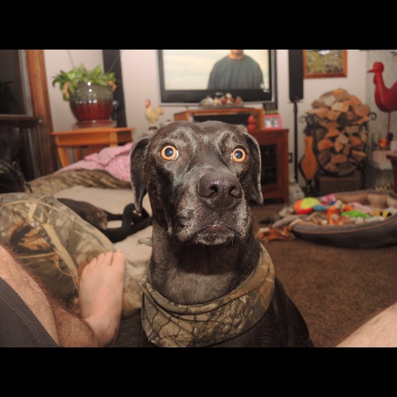 Meet Your Posher - Picture 8 of 8